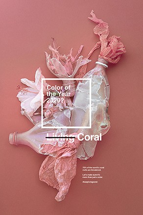 Maintenir le corail en vie WWF