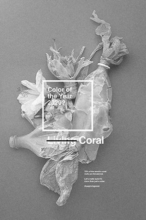 Maintenir le corail en vie WWF