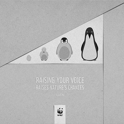 Donner de la puissance à votre voix WWF