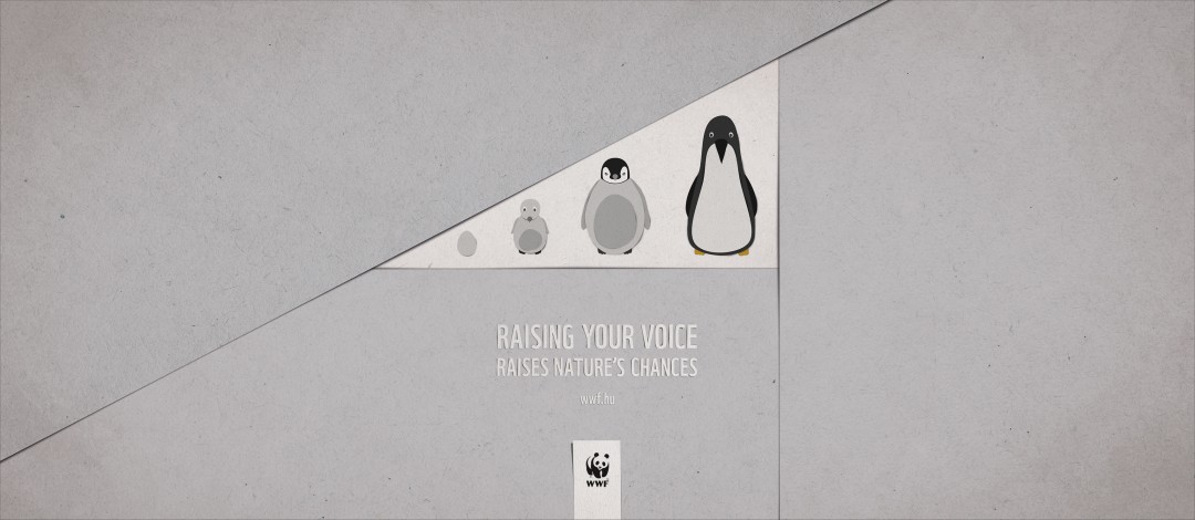 Donner de la puissance à votre voix WWF