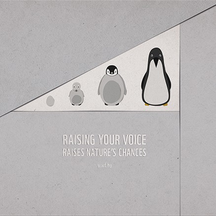 Raise Your Voice WWF