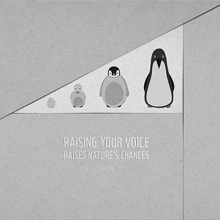 Raise Your Voice WWF