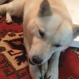 Itadaki No Momoka Go